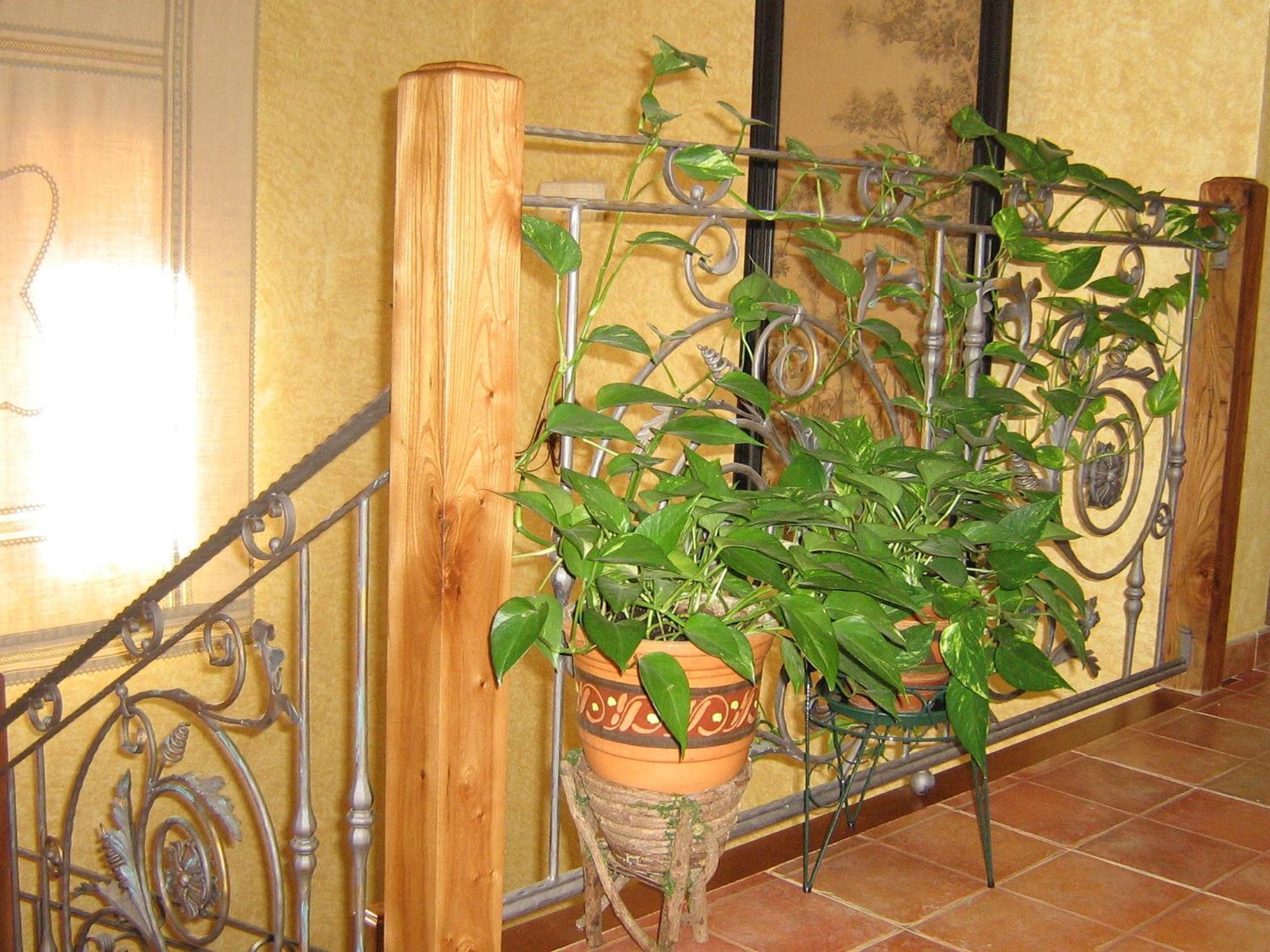 Cedillo de la Torre Hotel Rural El Museo מראה חיצוני תמונה