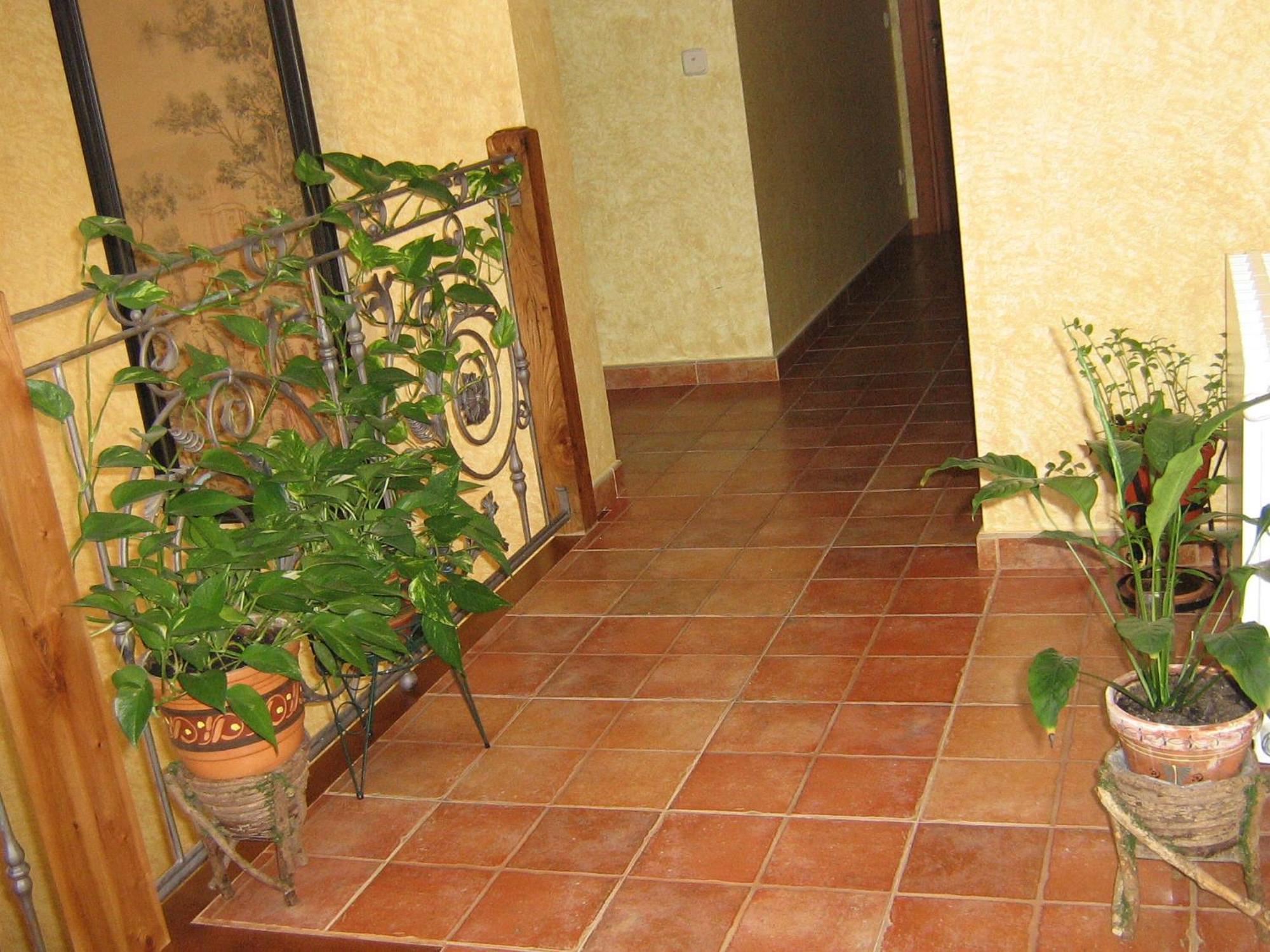 Cedillo de la Torre Hotel Rural El Museo מראה חיצוני תמונה